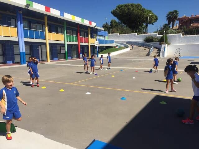 Enfoque Sistémico e Integral de la Motricidad