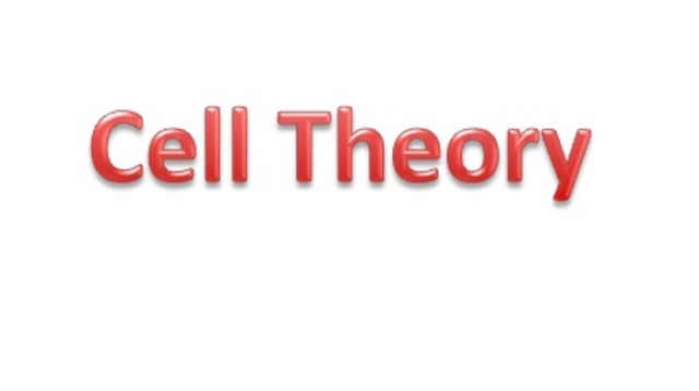 Cell Theory