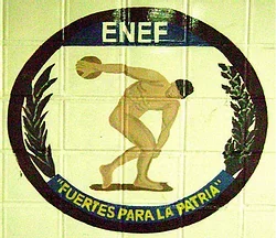CREACIÓN DE LA ENEF
