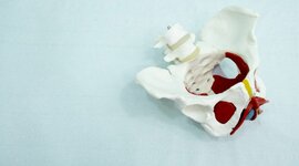 Timeline: Fisioterapia Sofía