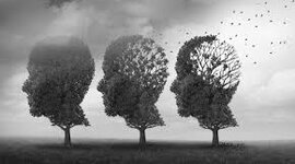 Timeline: recuerdos de mi vida