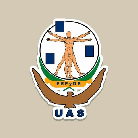 Se forma la dirección general de Educación Física del Departamento de Educación