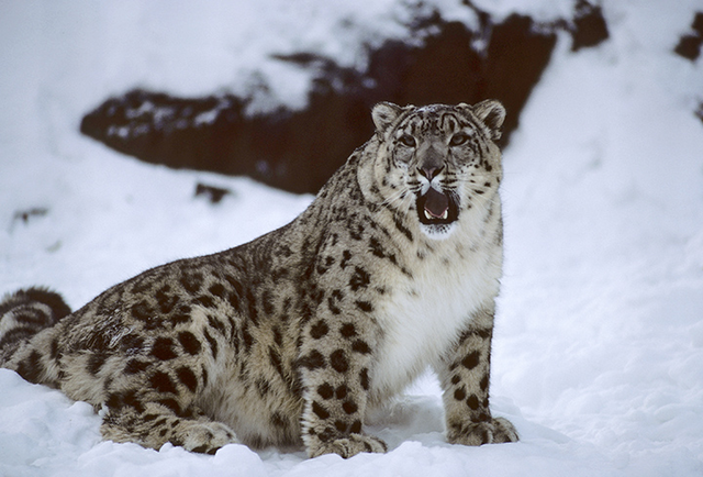 Definen  "Desarrollo Sostenible"