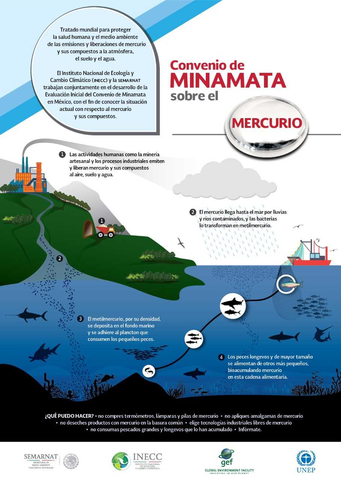 Convenio de Minamata