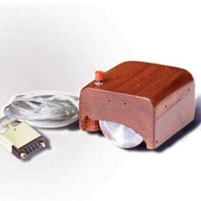 Timeline: Mouse Evolution Timeline