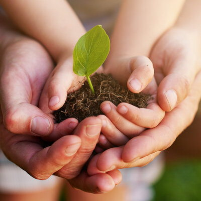 Timeline: Історія формування концепції сталого розвитку