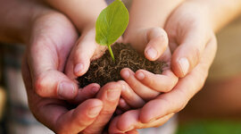 Timeline: Історія формування концепції сталого розвитку