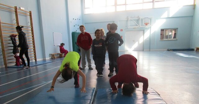 CONTENIDO CURRICULAR