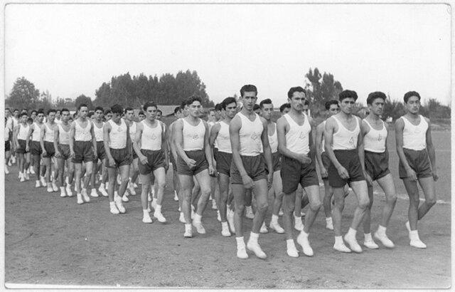 PLAN DE ESTUDIOS PROVISIONAL