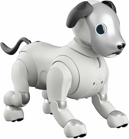 AIBO