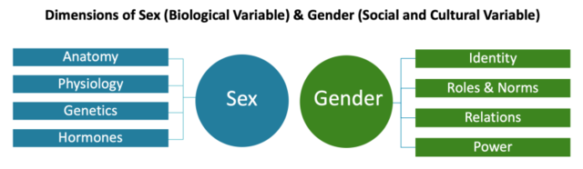 Sex, Gender and Essence