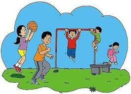 Enfoque Orgánico Funcional