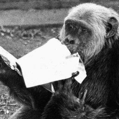 Timeline: Marcos históricos de Tião