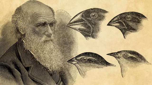 Darwin published his book on Natural Selection