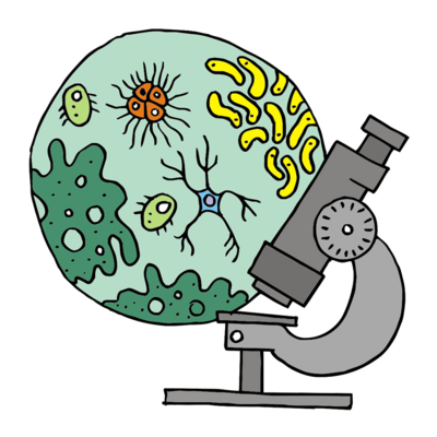 Timeline: Основні віхи розвитку цитології