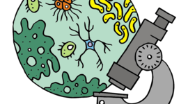 Timeline: Основні віхи розвитку цитології