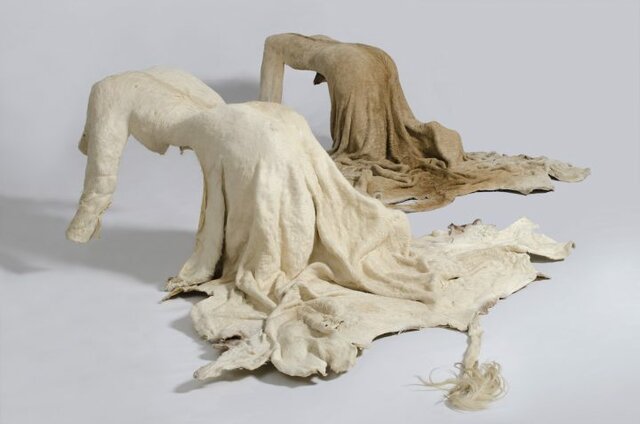 Umfanekiso wesibuko (Mirror image)