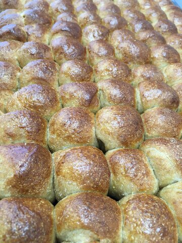 Baked pan de medianoche kernza for Rosholt Research Farm Field Day