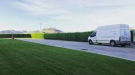 Timeline: Jardinería