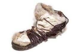 Hesiod Escribió de Paloi