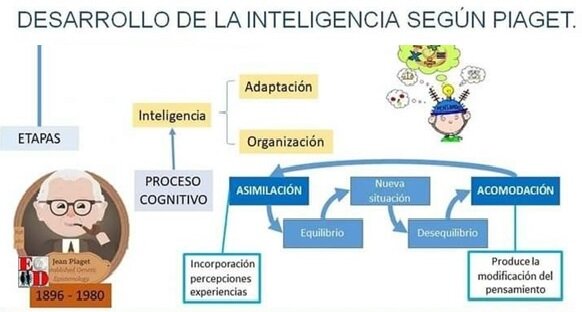 Aporte: El conocimiento es reorganización
