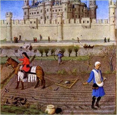 Mejoramiento en las técnicas agrícolas  XL