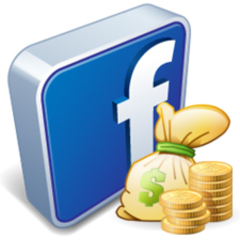 Facebook resevis its first investment from peter $500,000