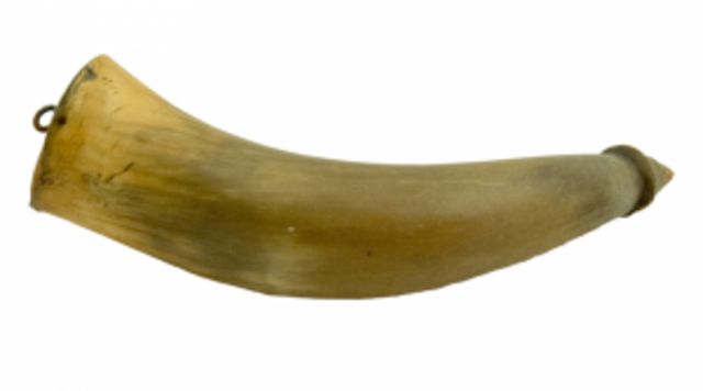 Battle of Palto Alto