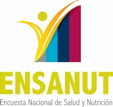 Integración en las encuetas del INEGI, la Nutrición