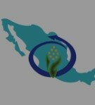 Nutrición en Mexico