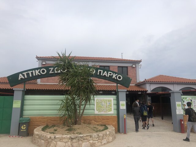 Ημερήσια Εκδρομή Στο Αττικό Ζωολογικό Πάρκο