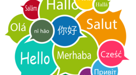 Timeline: Apprentissage des langues