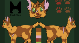 Timeline: Warriors: NewHome TimeLine