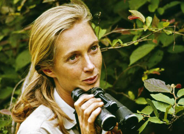 Jane Goodall