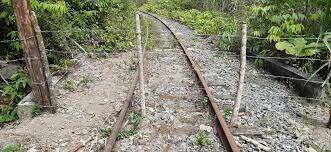 Qué pasó tras la globalización