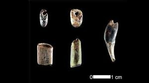 Inicios de la música