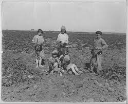 Introduction of Agriculture