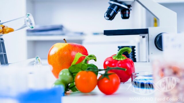 Modificación de Leyes