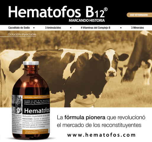 Lanzamiento de Hematofos B12