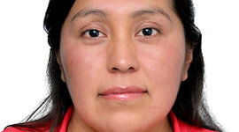 Timeline: línea del tiempo Mine