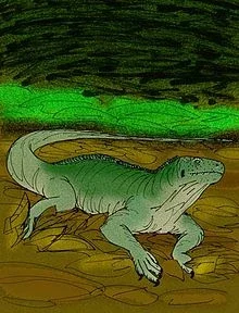 Brachylophus gibbonsi