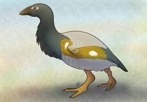 Moa-nalo de Maui Nui (Thambetochen chauliodou)