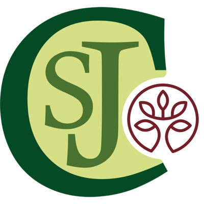 Timeline: HOJA DE RUTA