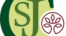 Timeline: HOJA DE RUTA