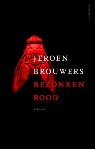 Bezonken Rood - Jeroen Brouwers
