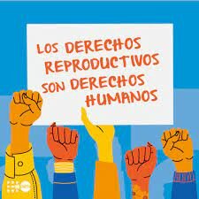 Conferencia mundial de derechos en Viena (internacional)