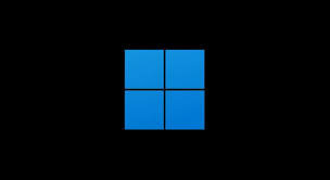 Windows 11