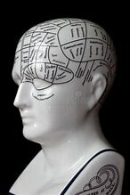 Frenología - Franz Joseph Gall