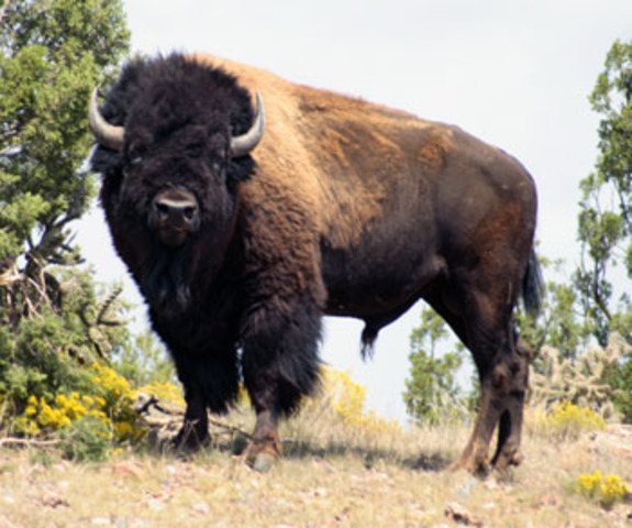 8 to 10 hunters set out