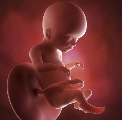 Second Semester: 20 Weeks